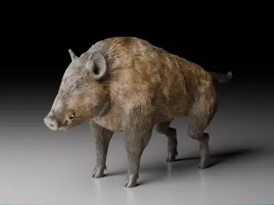 Realistic Wild Boar High-Quality 3D Model Low-poly 3D model