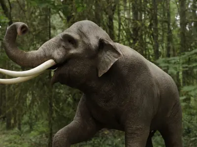 Asian elephant Low-poly 3D model