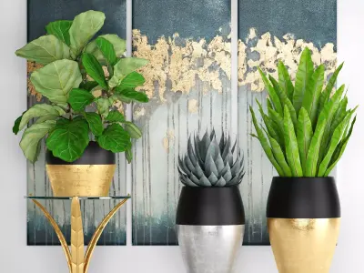 collection luxury plants 3D model