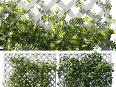 Outdoor garden plant set 159 - Ivy on Fence  Low-poly 3D model