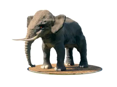 Elephant Low-poly 3D model
