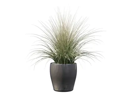 Grass artificial plant in pot 3D model