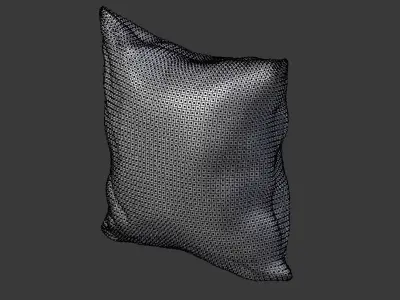 Solid Pillow 2 3D model