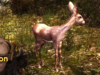 3DRT - Fawn Low-poly 3D model