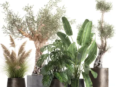 Ornamental plants for landscape design 1060 3D model