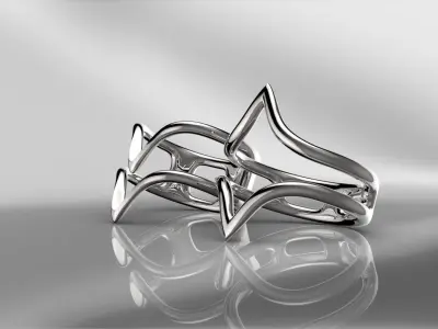 Two lightweight rings  3D print model