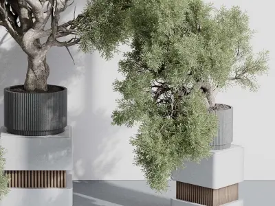 indoor plant set 389 tree bush concrete dirt vase Low-poly 3D model