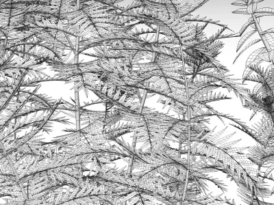 Plants And Planters 5 3D model