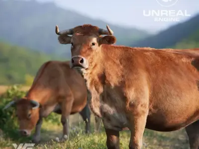 Cattle  UE Character Asset 3D model