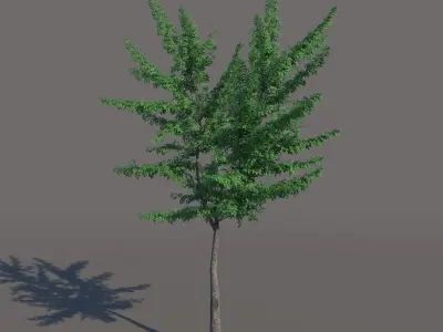 Small tree 3D model