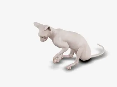 cat sphinx 3D model