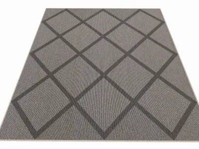 Indoor rectangle soft rug carpet grey 3D model
