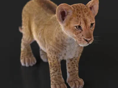 Lion Cub RIG XGEN CORE 3D model