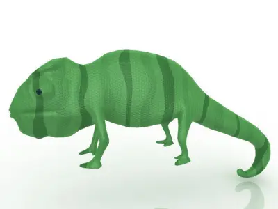 Chameleon 3D model buy