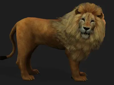 Lion with Animation 8 Low-poly 3D model