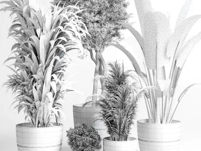Indoor plant dirty concrete plants ravenala tree bush palm 3D model
