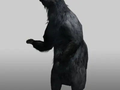Black Bear Low-poly 3D model