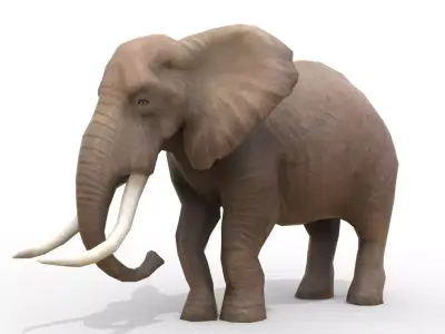 Animated African Elephant Low-poly 3D model