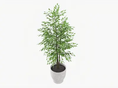 Decorative potted tree 02 3D model