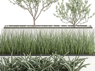 Decorative plants for the interior in a white flowerpot 585 3D model