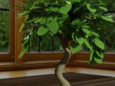 Tree in pot bonsai 3D model Blender file Free 3D model