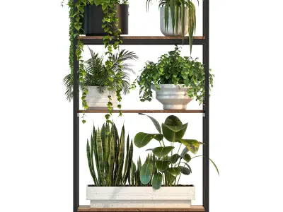 Metal Stand and Wooden Shelf Plant 3D model