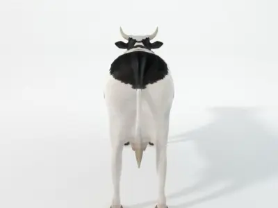 White Cow Low-poly 3D model purchase