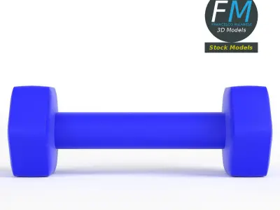 Neoprene dumbbell 3D model