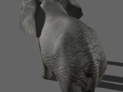 PRO Elephant 1 - 3d model 3D model