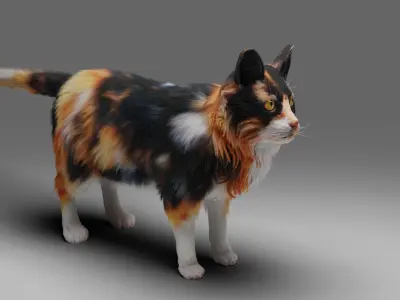 Fur Calico Cat V04 No Rigged Low-poly 3D model