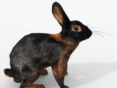 Tan Rabbit Low-poly 3D model