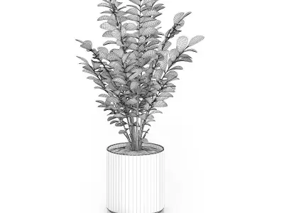 Plant in Round Pot 3D model