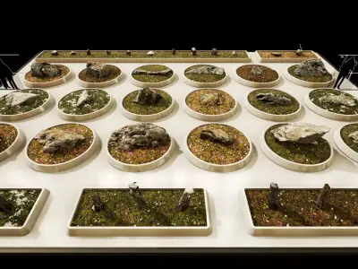 Scan Nature Pack - UE Project 4 10 Low-poly 3D model