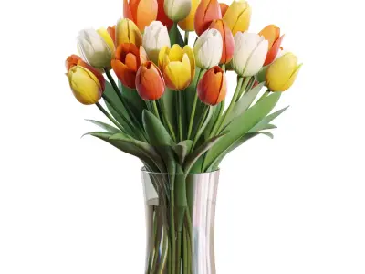 Flower Set 29 - Multicolor Tulips Bouquet 3D model