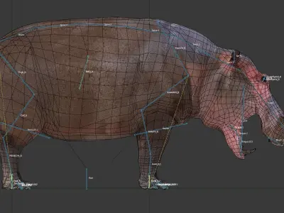 Hippopotamus Low-poly 3D model