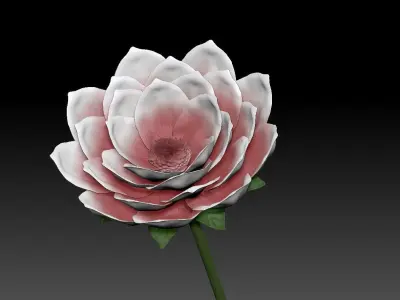 Flower with vase Free 3D model