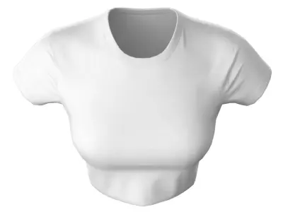 Shirt Female Low-poly 3D model