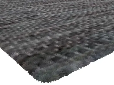 Rug Set 1066 3D model