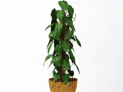 Pot Leafy Plant 3D model