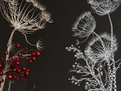 bouquet Dry flowers04 3D model