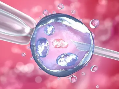  Artificial insemination - glass needle fertilizing a female egg 3D model