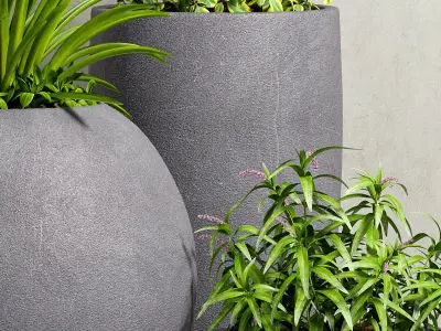 Decorative plant set-33 3D model