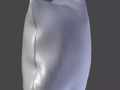 Voyage Cushion- Flowers -Piped Pillow 3D model