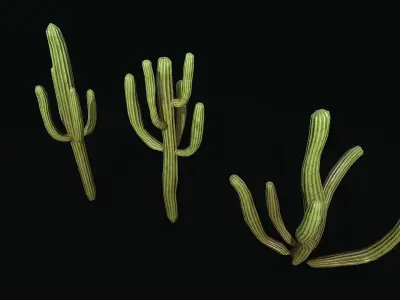 Stylized cactus large low poly  Low-poly 3D model