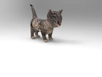 3D wild cat low poly  Low-poly 3D model