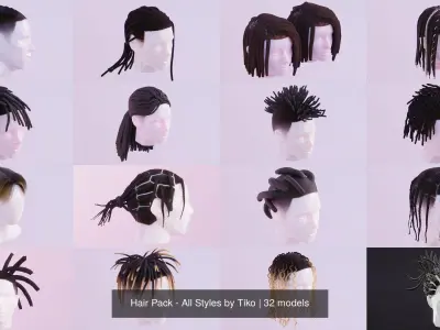 Hair Pack - All Styles by Tiko 3D Model Collection