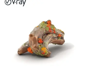 Driftwood Lichen Textured Bark model pack Texture