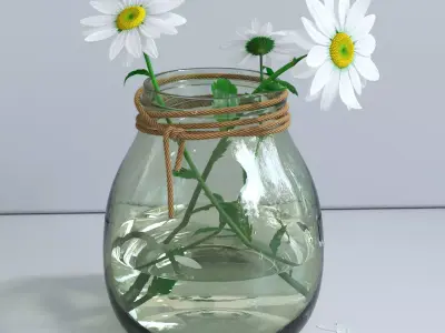 Spring daisy set 3D model