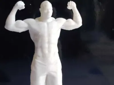 Alistair Overeem 3D print model