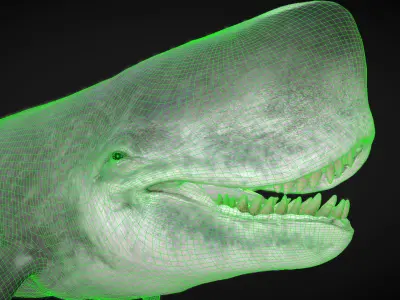 Livyatan Low-poly 3D model